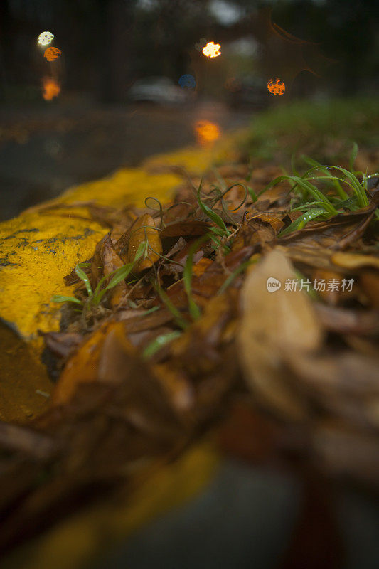 潮湿和多雨的