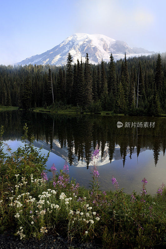 雷尼尔山