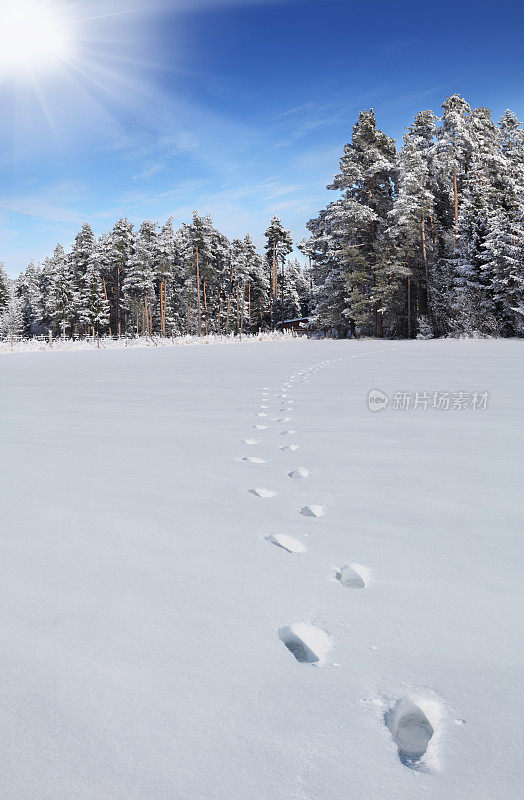 雪地里有脚印的冬季景观