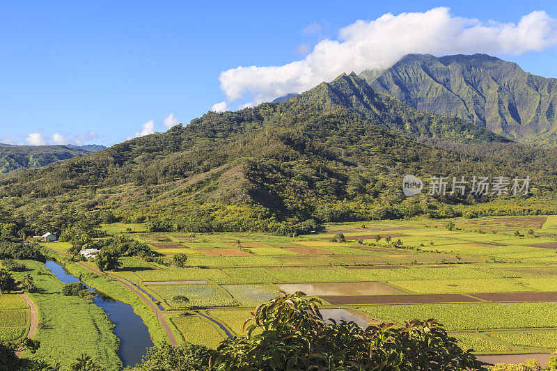 哈纳雷山谷，考艾岛，夏威夷