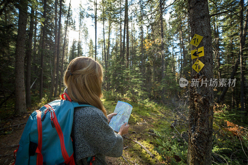 年轻女子徒步在森林中寻找地图上的方向。