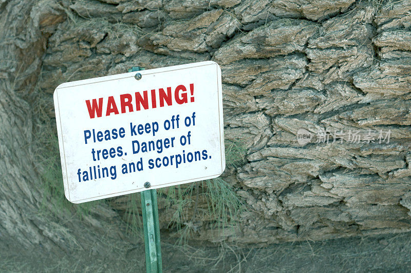 凤凰城的一棵大树附近有蝎子的警告信号