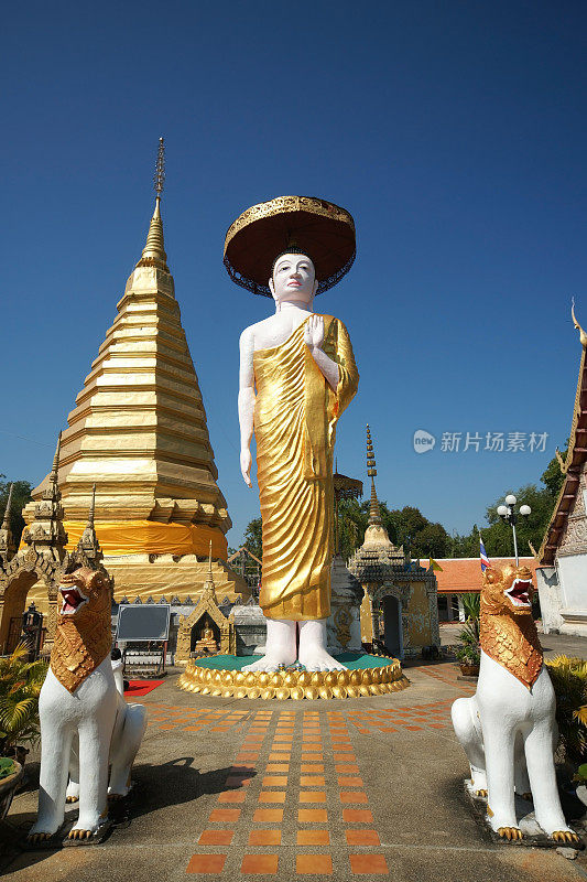 泰国的一座寺庙里的大佛