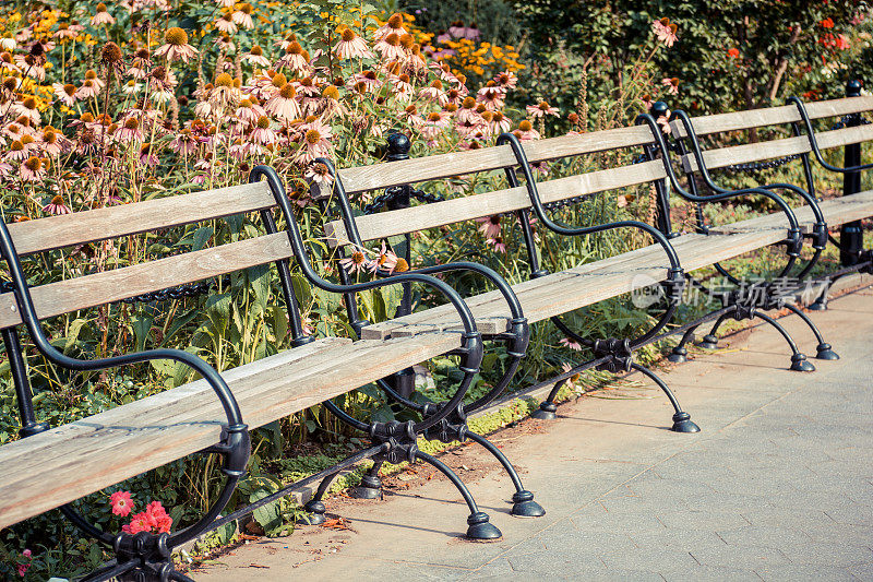 纽约华盛顿广场公园的长椅