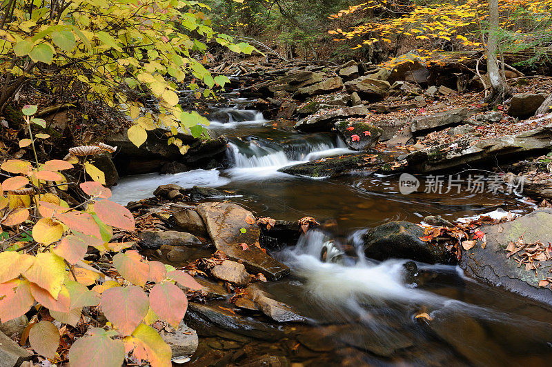 秋天里基茨峡谷州立公园的风景