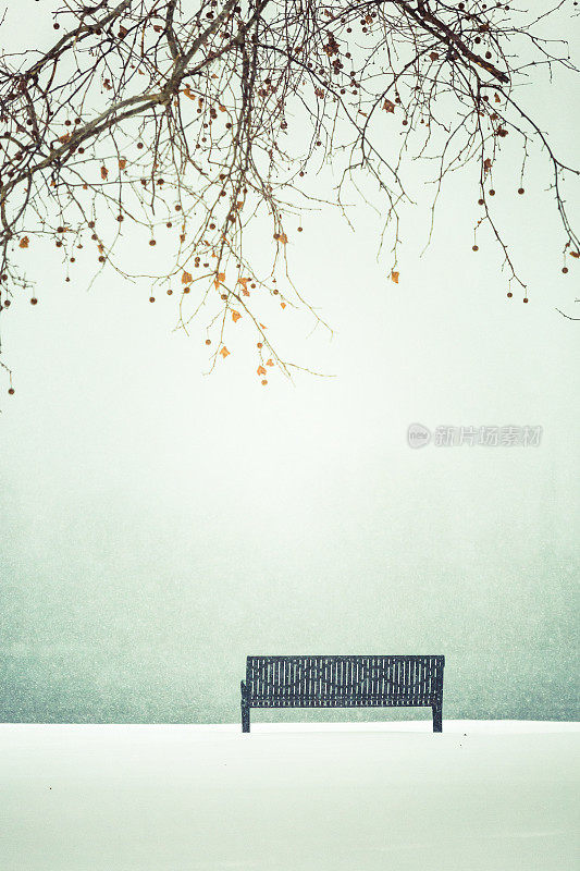孤独的公园长椅和树枝在冬天