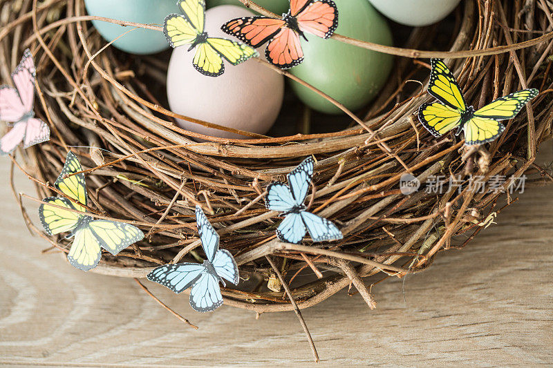 鸟窝里有五颜六色的复活节彩蛋
