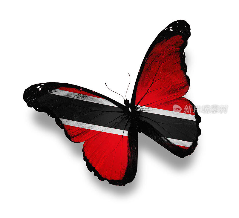 特立尼达和多巴哥的国旗蝴蝶，孤立在白色
