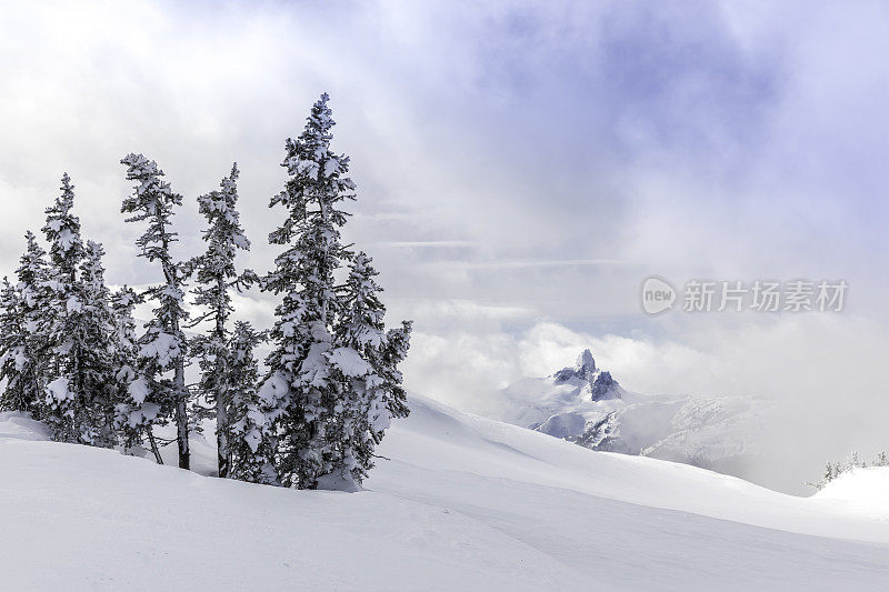 惠斯勒黑梳滑雪场自然景观全景图