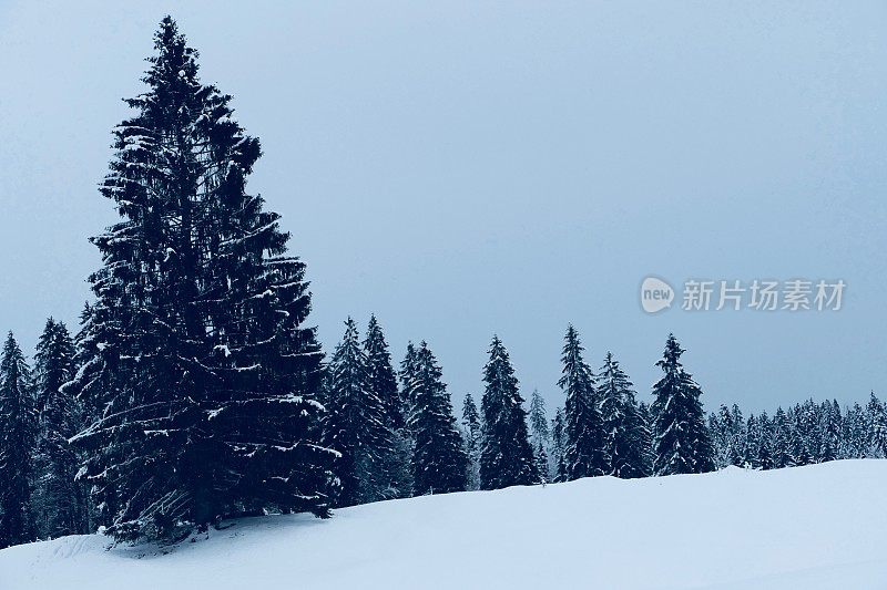 在欧洲阿尔卑斯山脉，冰雪覆盖的冬季景观和森林