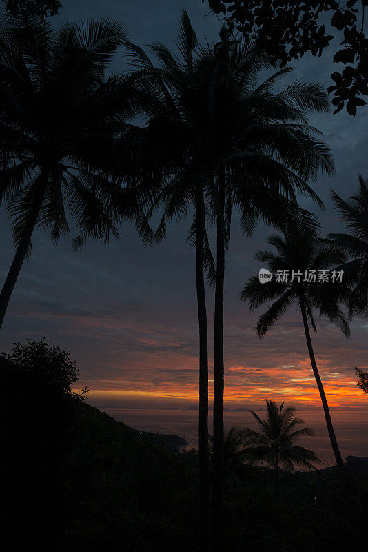 夕阳和棕榈树在高潘干，泰国