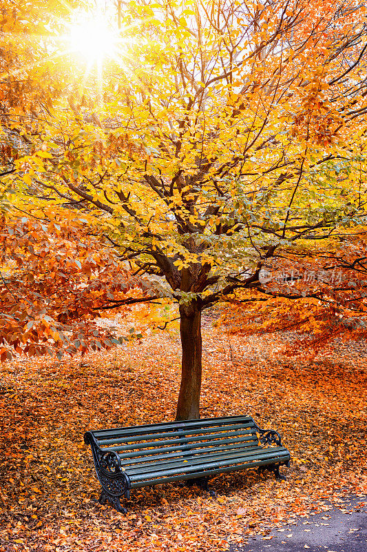 坐在公园的树下