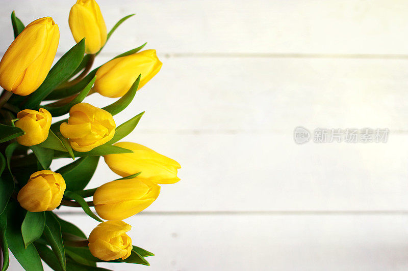 春天装饰构图。绿丝带系着一束黄色郁金香。特写肖像上的白色木制背景