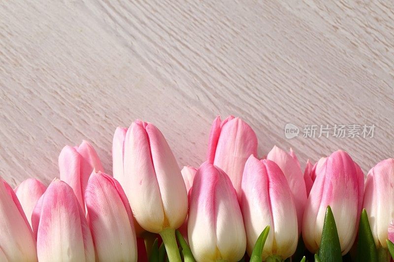 新鲜的郁金香通常被认为是纯真的花朵，当我们没有给它们机会的时候，它们是一个非常令人惊喜的东西。