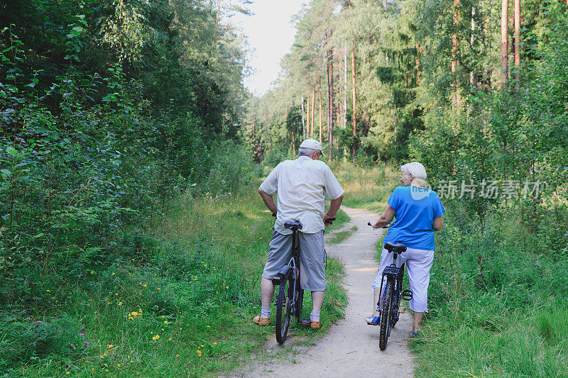 活跃的老年夫妇在大自然中骑自行车