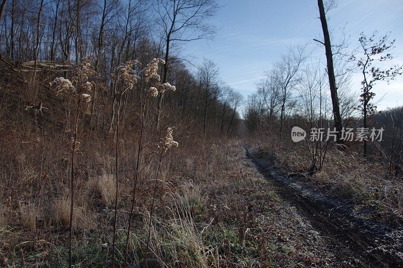 煤矿页岩