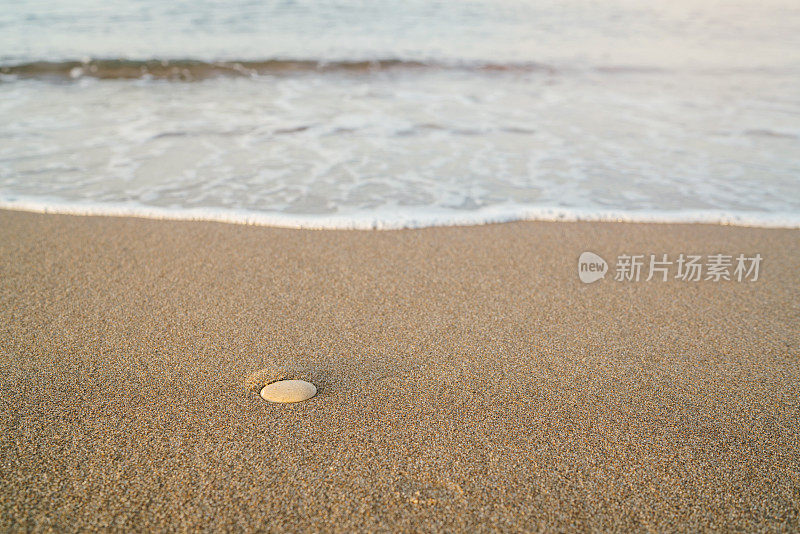 沙滩上海浪般的海水