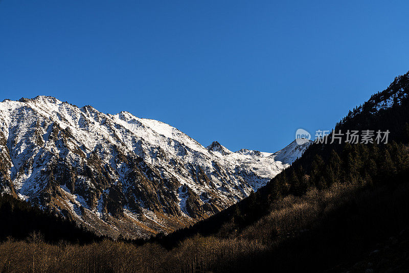 雪山后面的森林和小山