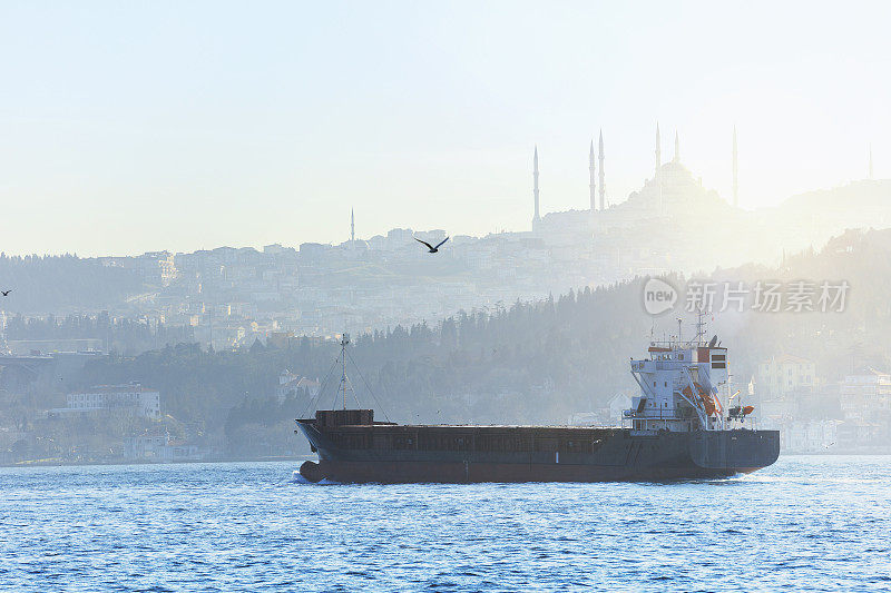 伊斯坦布尔博斯普鲁斯海峡的大型集装箱货船