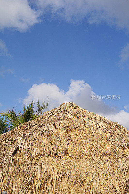 热带岛屿上的草屋，假期，旅游目的地
