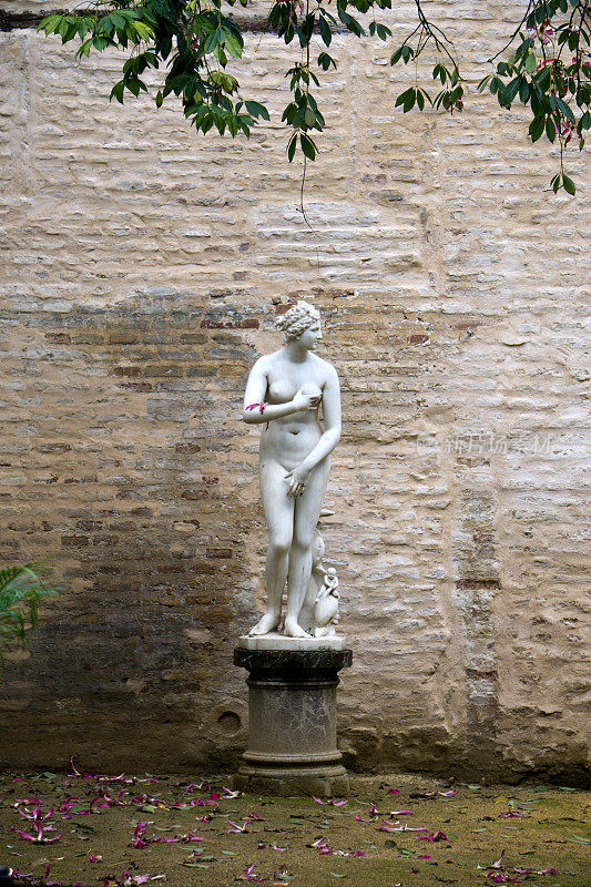 维纳斯女神的雕像，罗马的爱与美女神