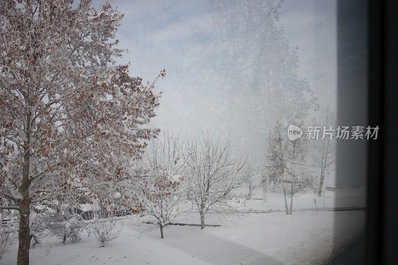 冬天雪风景画