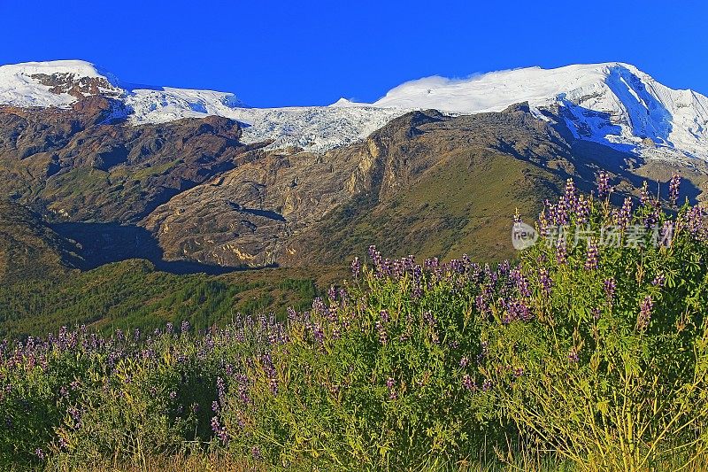 秘鲁，安卡什，瓦拉兹，科巴山和夕阳下的野花