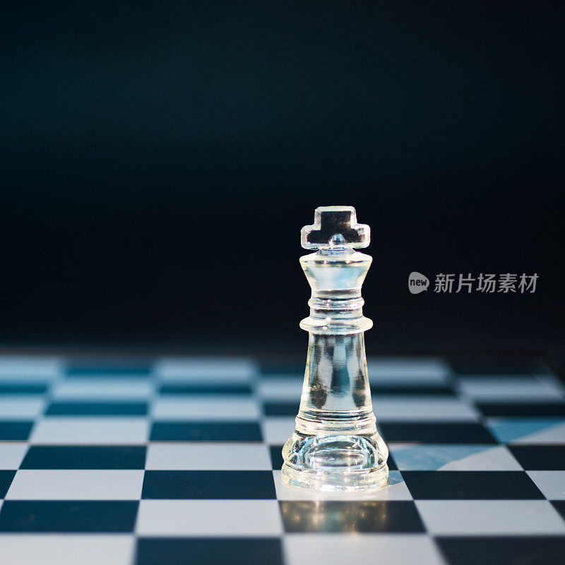 棋盘上的象棋王