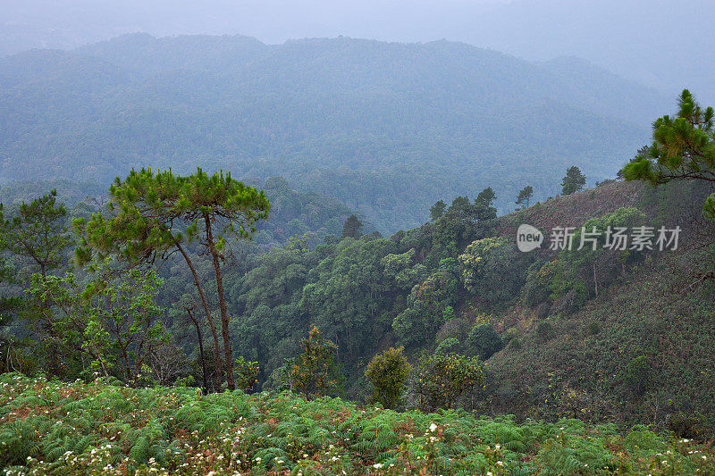 Doi孟Angkhet山的雨林和山脉