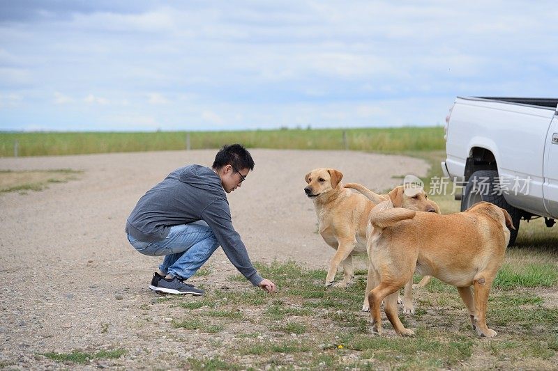 狗和他们的人玩