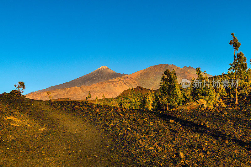 Teide山景观，Teide火山和Teide国家公园的熔岩风景-特内里费，西班牙