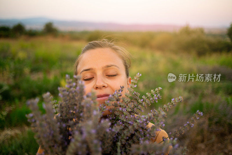 一束薰衣草