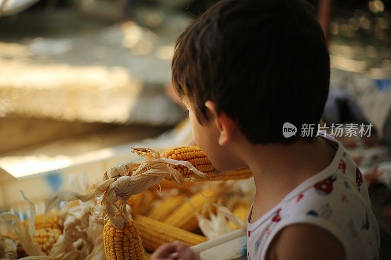 小男孩在啃新鲜的玉米棒子