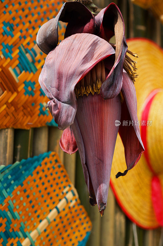 泰国香蕉花装饰