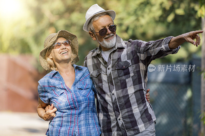 一对老年夫妇走过秋天的林地。活跃的老年人在秋天的森林里散步