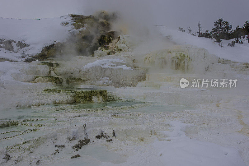 黄石国家公园猛犸区调色板温泉。