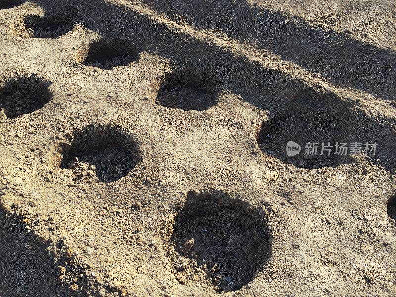 为了在花园里种菜，挖土