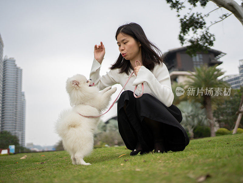 在草地上和宠物狗玩耍的女人