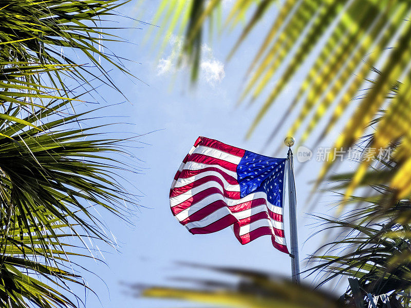 美国国旗在阳光明媚的蓝天和棕榈树上飘扬