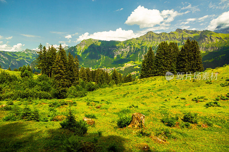 山的风景。Lauterbrunnen。瑞士。伯尔尼州。穆伦村庄。夏天。绿草