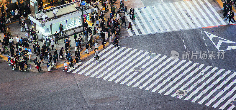 在东京涩谷，一群日本人、亚洲游客、行人在夜晚穿过马路。日本旅游景点，旅游地标，亚洲交通城市生活理念