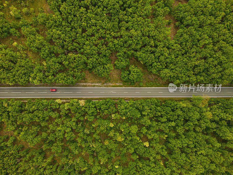 鸟瞰郊区树木之间的道路