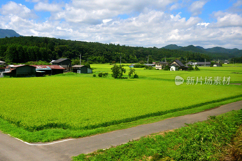 日本东部乡村景观:东武铁路观景