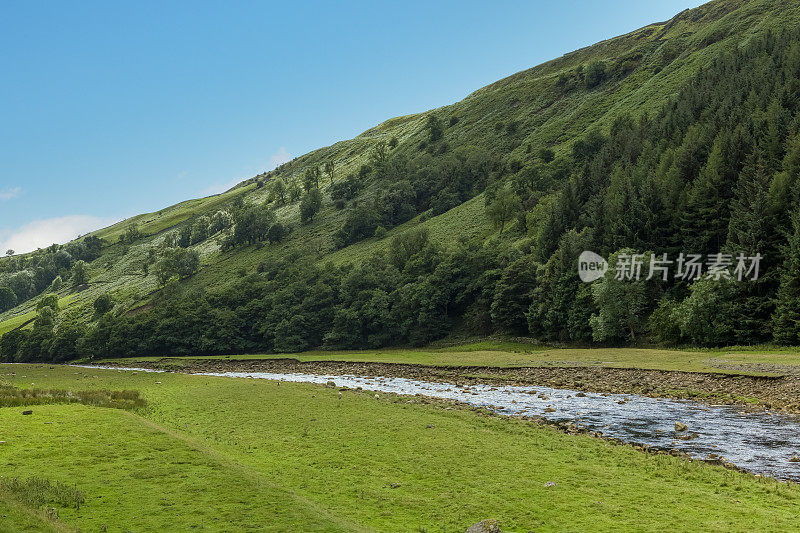 英格兰约克郡山谷起伏地形中的河岸。