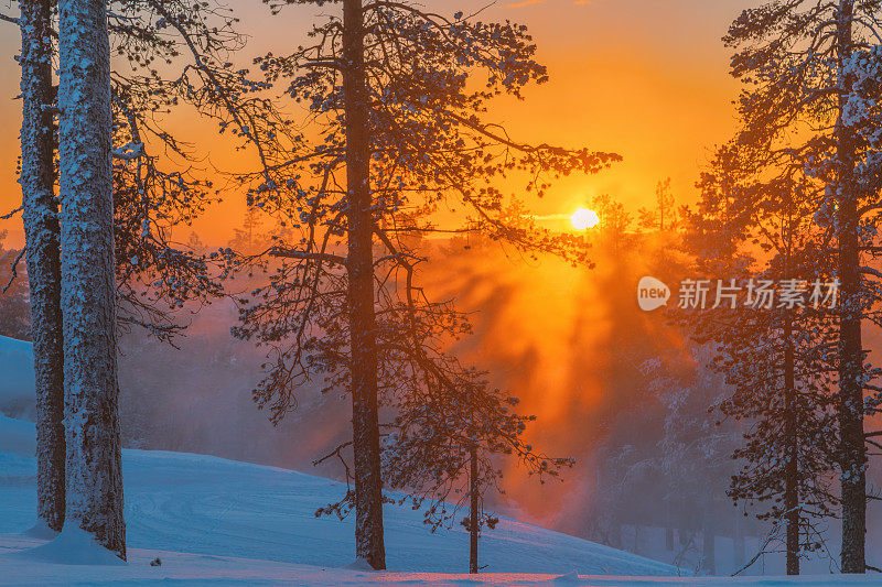 美丽的日落景色在雾蒙蒙的芬兰拉普兰和白雪皑皑的森林