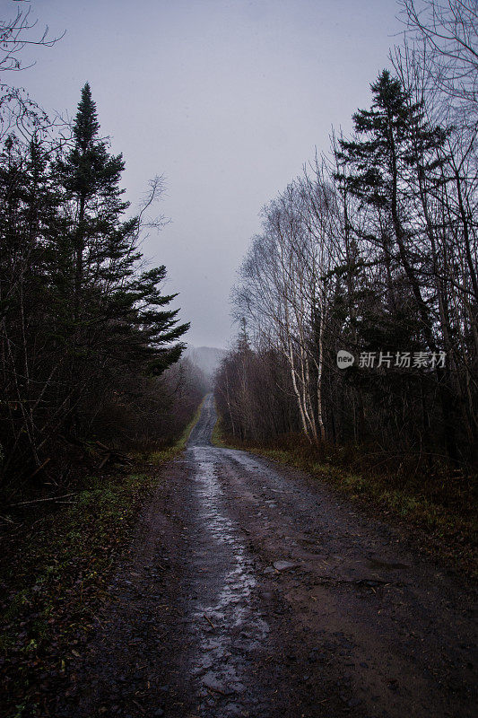 乡间小路上一个阴雨绵绵的早晨