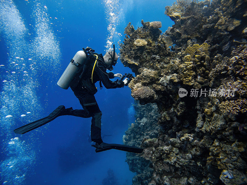 戴着水肺的潜水员在水下拍照，欣赏奇异的鱼类和珊瑚礁