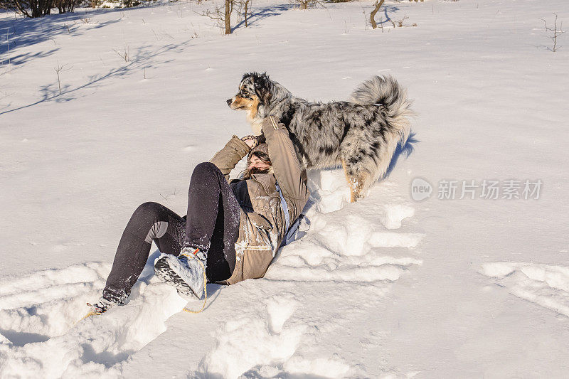 和我们珍贵的毛茸茸的朋友在雪地里度过了又一个愉快的一天