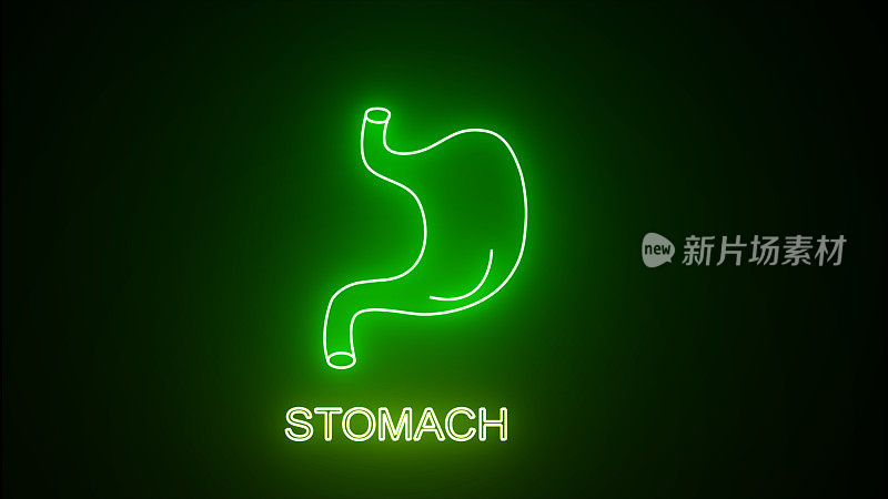 发光的绿色霓虹灯线人体胃图标是孤立在一个黑色的背景。动画的人的胃与发光的霓虹灯线。人体解剖，胃动画