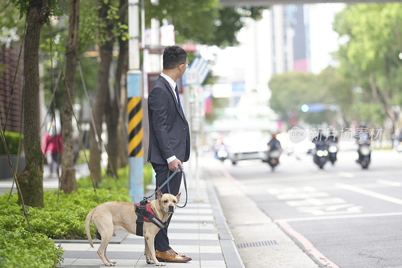 带宠物旅行。和宠物一起散步、上下班和购物